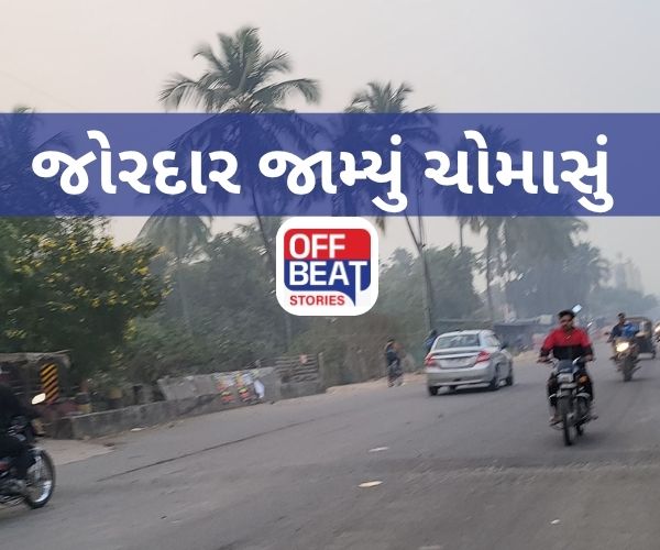 ગુજરાતના અનેક વિસ્તારોમાં વરસાદે કરી જમાવટ